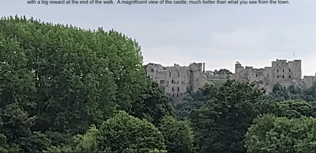 Ludlow Castle through the Trees