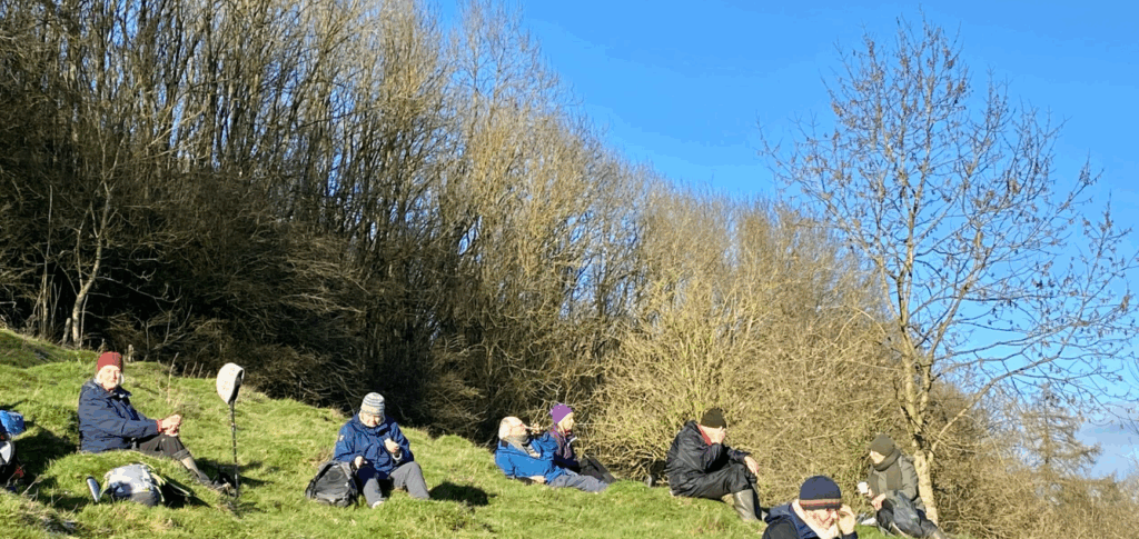 Picnic