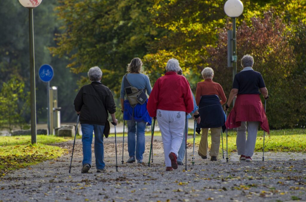 A group of people walking away from the camera