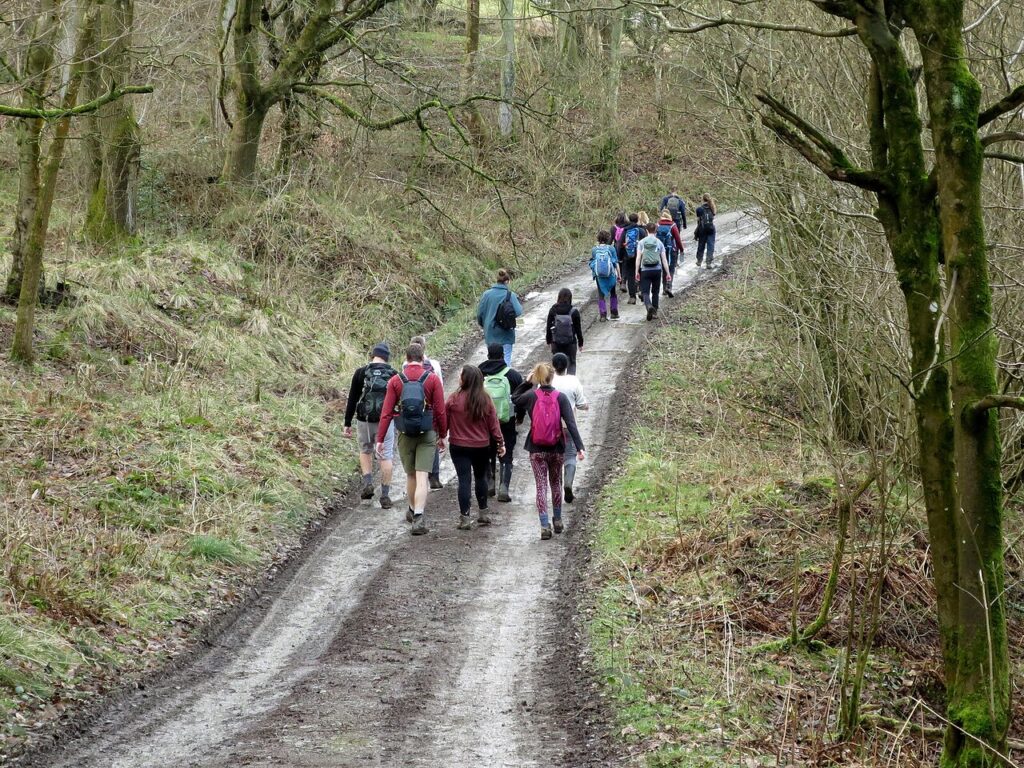 Walkers Walking