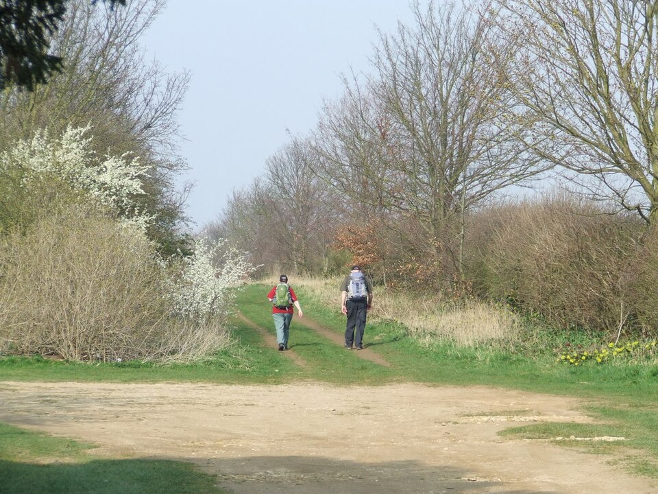 Walkers Walking