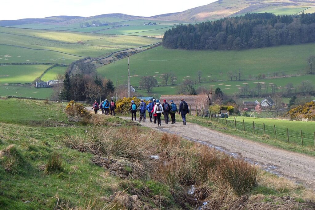 Walkers Walking